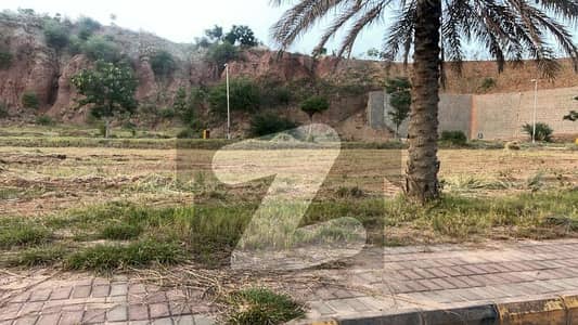 22marla Front Back Road Level Plot Available For Sale In DHA 3 Sctor A 22marla Front Back Road Level Plot Available For Sale In DHA 3 Sctor A