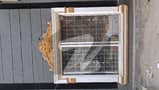 3 3