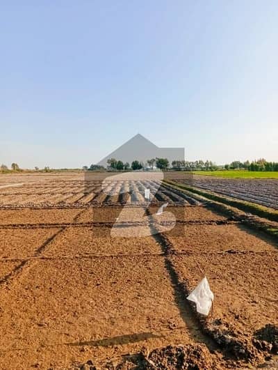 13 ACRES LAND FOR SELL BABRA ROAD GHARO