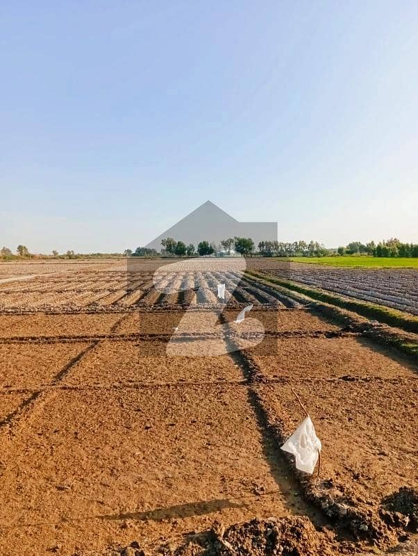 13 ACRES LAND FOR SELL BABRA ROAD GHARO 13 ACRES LAND FOR SELL BABRA ROAD GHARO