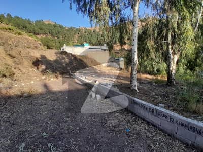 1 Kanal South Open Plot For Sale