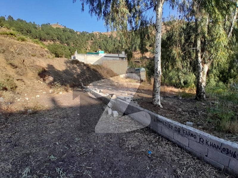 1 Kanal South Open Plot For Sale 1 Kanal South Open Plot For Sale