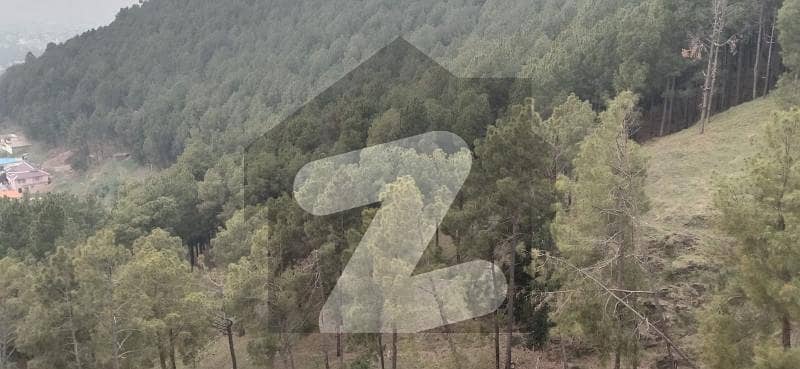 4 4