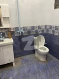 4 4