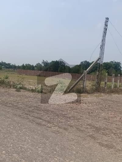 تھیٹر لاہور میں 8 کنال رہائشی پلاٹ 4.8 کروڑ میں برائے فروخت۔