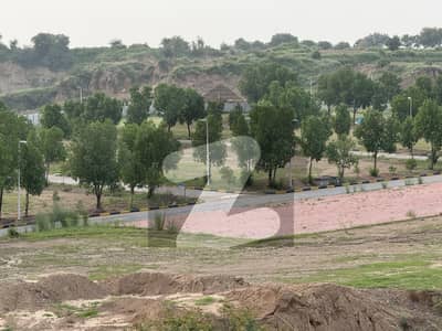 1 Kanal Plot For Sale DHA Phase 6 C3 Ext