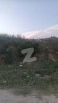 1 1