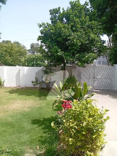 F6 House Available For Rent F6 House Available For Rent