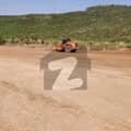 1 1
