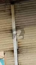 6 6