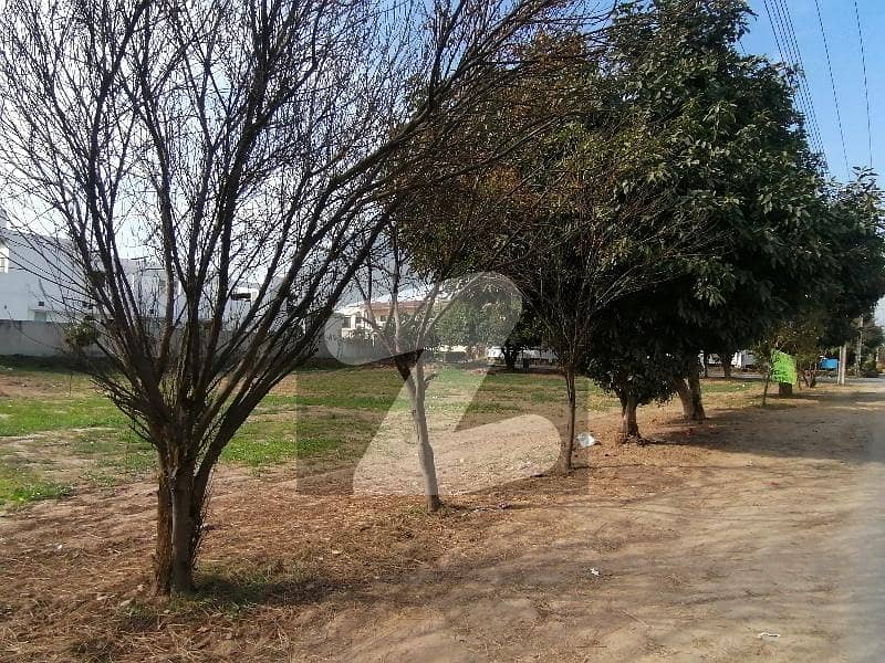 5 5