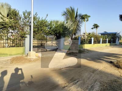 Karachi Bar 25 A Transfer Plot 240 Square Yards