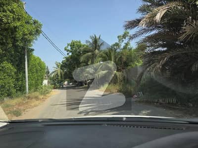 Corner Plot For Sale Near Hafiz Prime Location