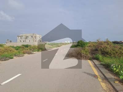 33rd street off Tipu sultan 500 yards residential 45x100 plot zone E 33rd street off Tipu sultan 500 yards residential 45x100 plot zone E