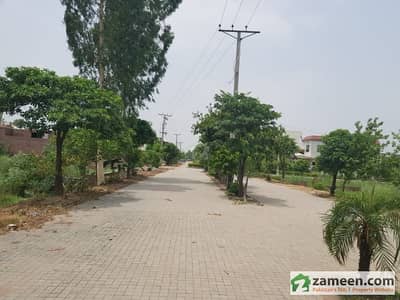 Residential Plot in Model Housing Scheme For Sale