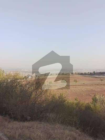 8 Marla Plot Is Available For Sale In SECTOR N