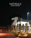 21 