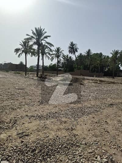 1.25 Marla Commercial Plot for Sale in Bahawalpur Commercial Complex TMA Approved 1.25 Marla Commercial Plot for Sale in Bahawalpur Commercial Complex TMA Approved