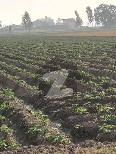 2 Kanal Residential Plot for Sale K block Avenue 1 plot no 25 dha phase 3 Islamabad