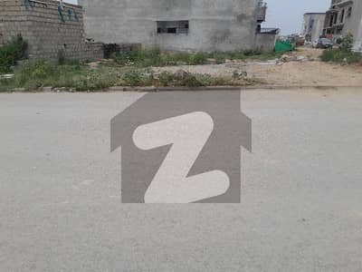 Lop Plot On Main University Road