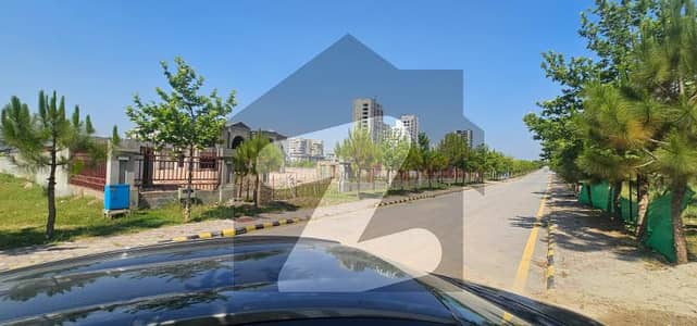 Street 11 Heighted Solid 5 Kanal Plot Direct Owner Meeting