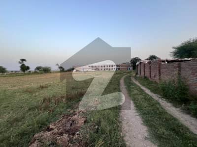 Poultry Farm ( Space Available For 12000 Layer ) 10 Kanal Area