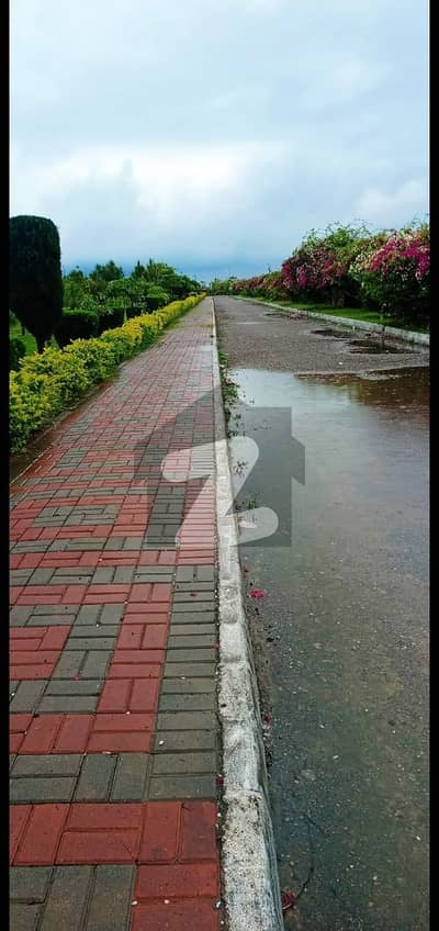 Kanal north open plot is available for sale in zone 4 Sector D3 Kanal north open plot is available for sale in zone 4 Sector D3