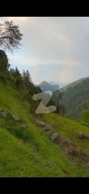 **19 Kanal Residential Land for Farmhouse Thandiani Area**