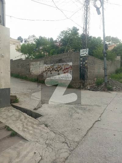 5 Marla Single Storey House
