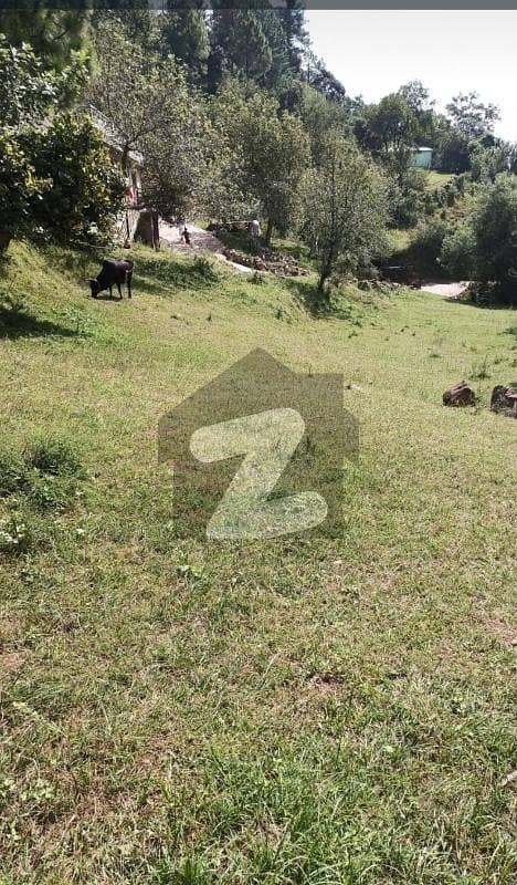 30 Marla plot for sale 30 Marla plot for sale