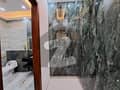 5 5