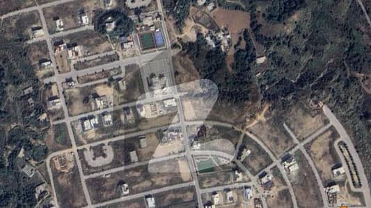 1 Kanal Plot in Sec H DHA 5