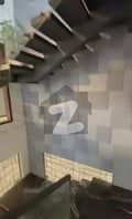 6 6