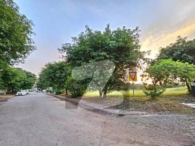 Back Open Corner Plot In A Closed End Peaceful Street For Sale Back Open Corner Plot In A Closed End Peaceful Street For Sale