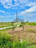 7 7