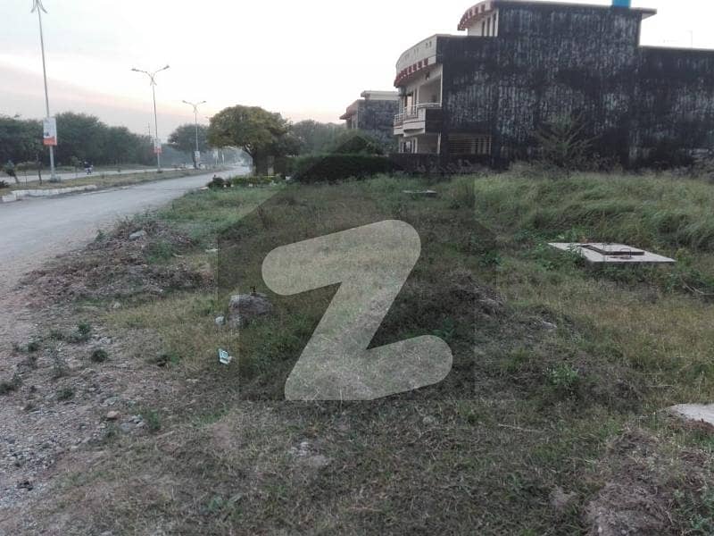 5 5