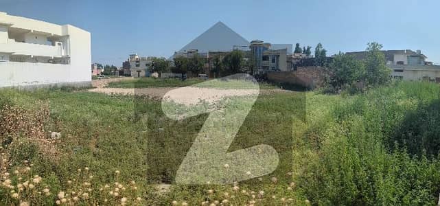 Dheenda Road Plot For Sale