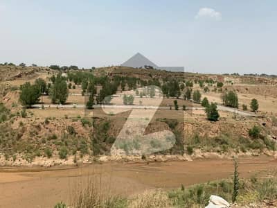 Dha phase 7 plot for sale in Lilly Sector at reasonable price