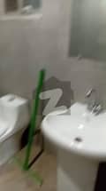 6 6