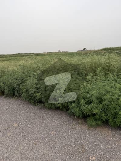 30x60 ideal Location Plot For Sale I-12/1 890 series