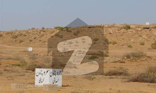 گداپ روڈ کراچی میں 40 کنال زرعی زمین 1.25 کروڑ میں برائے فروخت۔