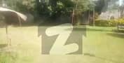 4 4
