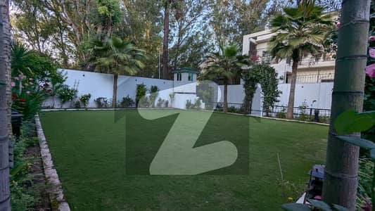 FOR RENT 1200 Sq Yard Fully Renovated 3 Beds Double Storey With Beautiful Lawn In G-6/4