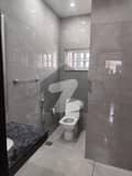 7 7