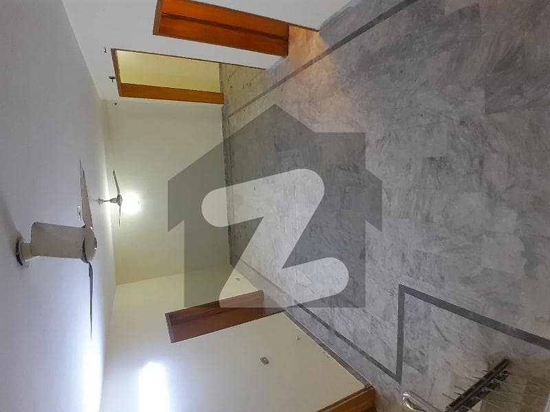 house for rent house for rent