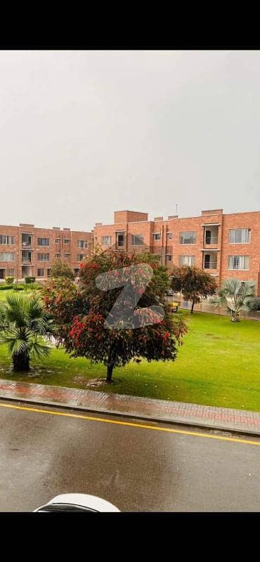 Bahria Orchard D Block 5 Marla Flat New Awami Villas 2nd Floor Facing Park