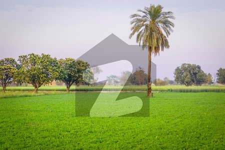 4 Acer Fully Agriculture Land For Farming & Farmhouse at Near By Pass Samundri Road Faisalabad