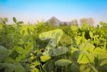 Ideal 3 Acer land For Investment at Main Samundri Road Near Roahan Wala By Pass Faisalabad