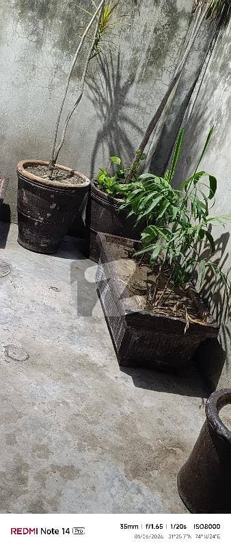 2nd Storey Beautiful Portion Is Available For Rent