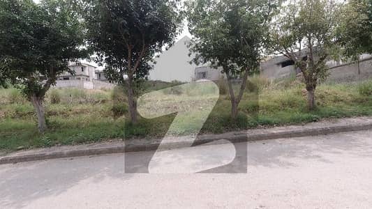 On Excellent Location 1130 Square Yards Spacious Residential Plot Available In Bahria Garden City West For sale